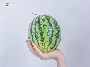 吃瓜最新入口免费,带你领略美味新境界  第2张